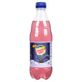 Canada Dry Blackberry Bottle