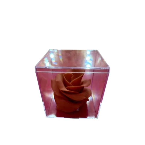 Rose en chocolat Écrin transparent