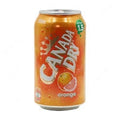 Canada Dry Orange Soda UAE