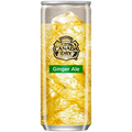 Canada Dry Japan